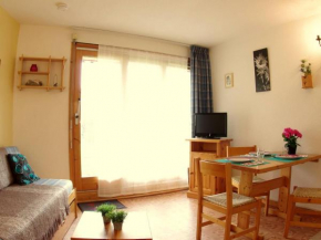 Studio cosy avec terrasse, accès direct pistes, animaux acceptés, parking en option - FR-1-291-737